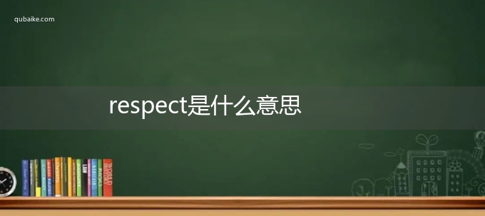 respect是什么意思