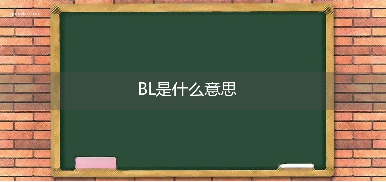 BL是什么意思