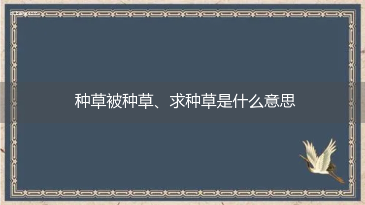 种草被种草、求种草是什么意思