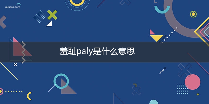 羞耻paly是什么意思