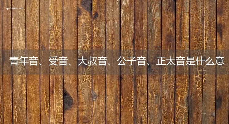 青年音、受音、大叔音、公子音、正太音是什么意思