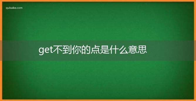 get不到你的点是什么意思