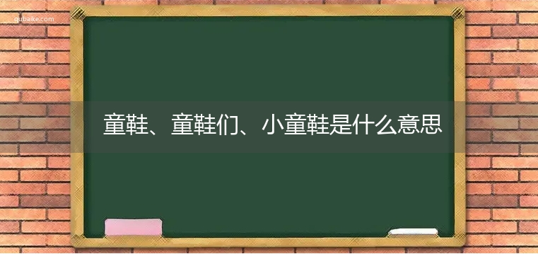 童鞋、童鞋们、小童鞋是什么意思