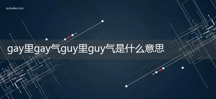 gay里gay气guy里guy气是什么意思