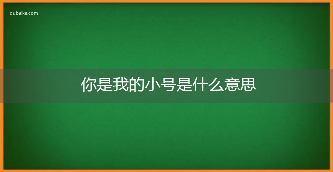 你是我的小号是什么意思