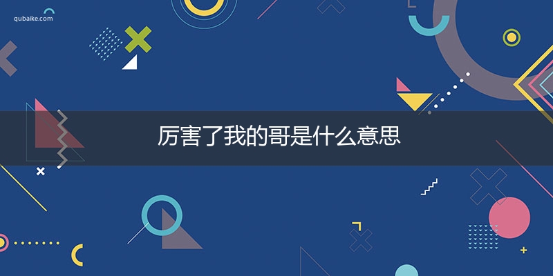 厉害了我的哥是什么意思