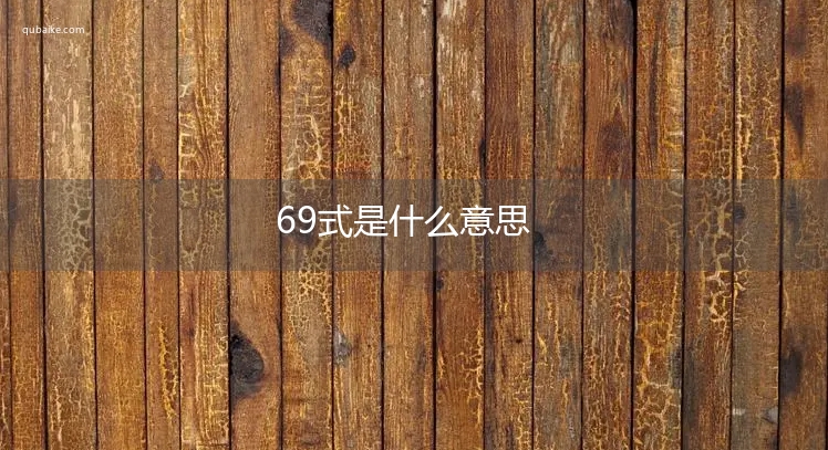 69式是什么意思