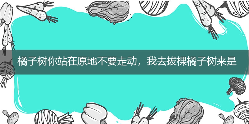 橘子树你站在原地不要走动，我去拔棵橘子树来是什么意思