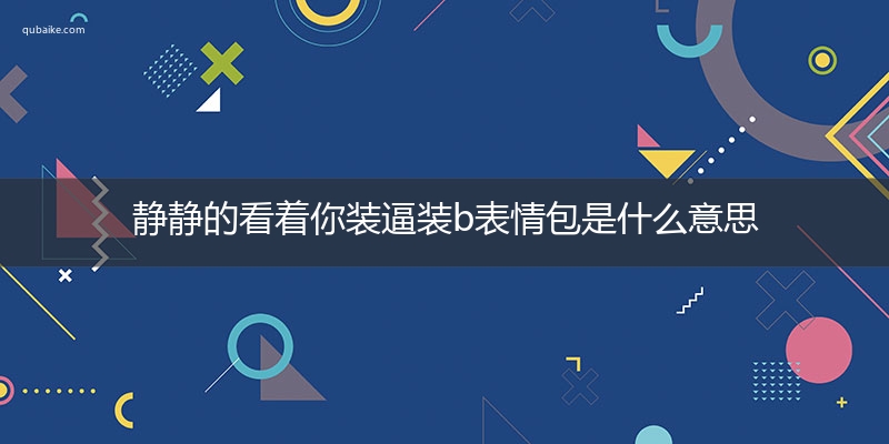 静静的看着你装逼装b表情包是什么意思