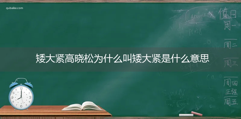 矮大紧高晓松为什么叫矮大紧是什么意思