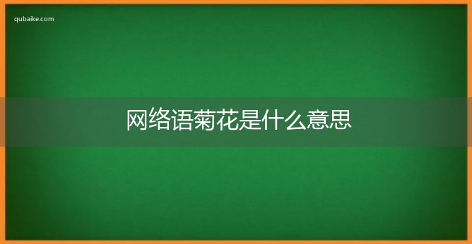 网络语菊花是什么意思