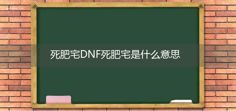 死肥宅DNF死肥宅是什么意思