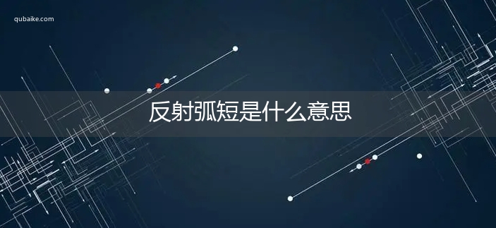 反射弧短是什么意思