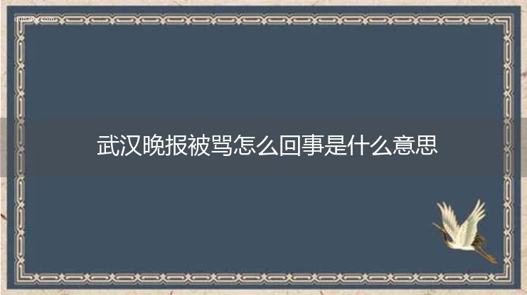 武汉晚报被骂怎么回事是什么意思