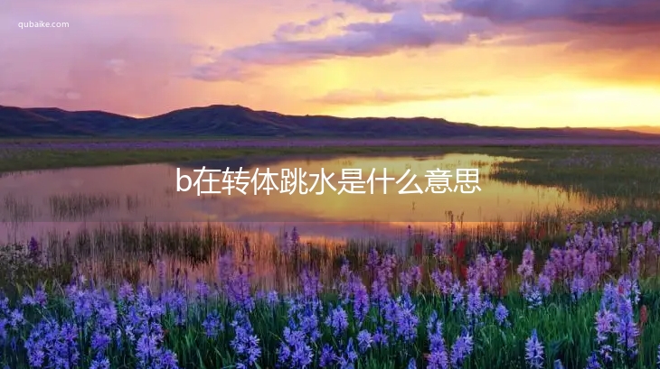 b在转体跳水是什么意思