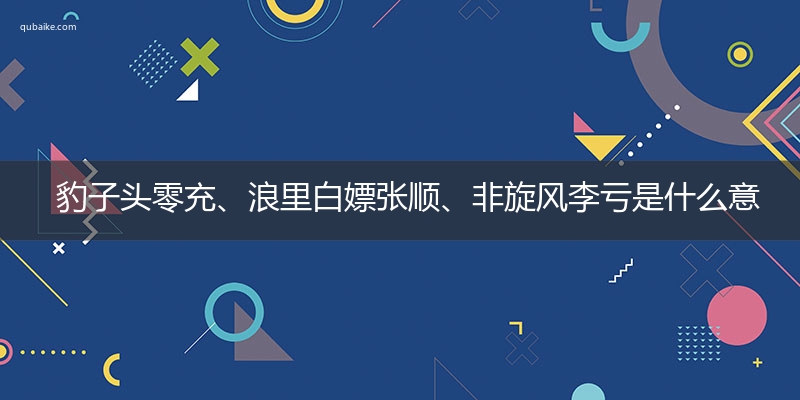 豹子头零充、浪里白嫖张顺、非旋风李亏是什么意思