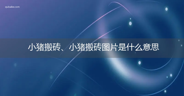 小猪搬砖、小猪搬砖图片是什么意思