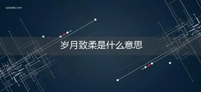 岁月致柔是什么意思