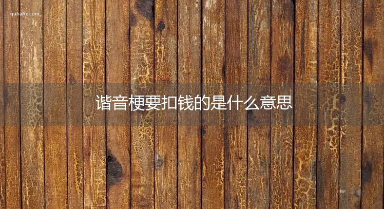 谐音梗要扣钱的是什么意思