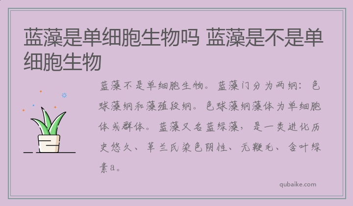 蓝藻是单细胞生物吗 蓝藻是不是单细胞生物