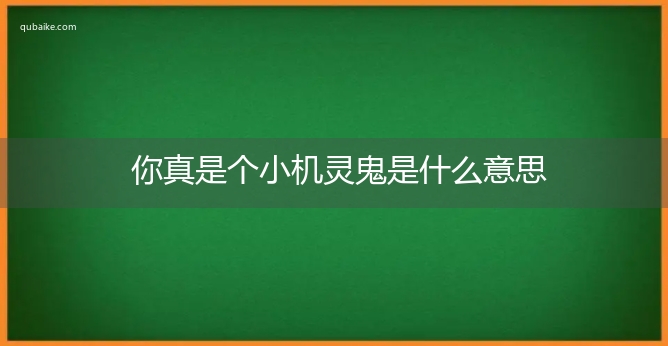 你真是个小机灵鬼是什么意思