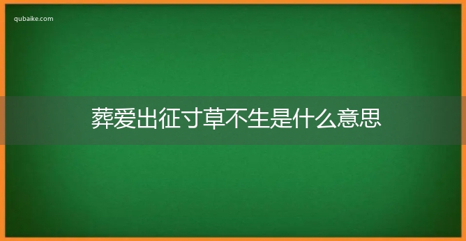 葬爱出征寸草不生是什么意思