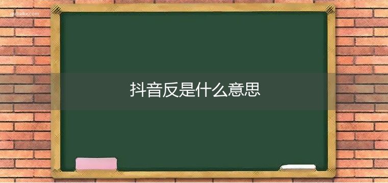 抖音反是什么意思