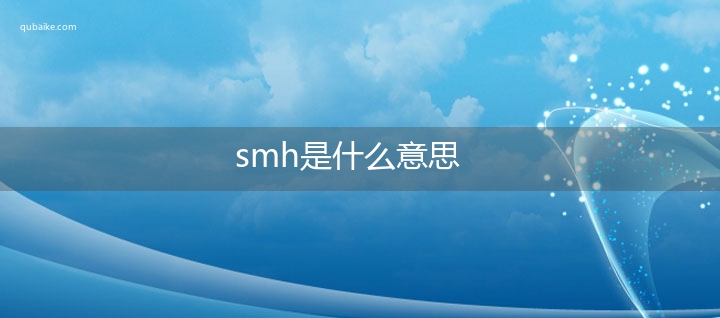 smh是什么意思