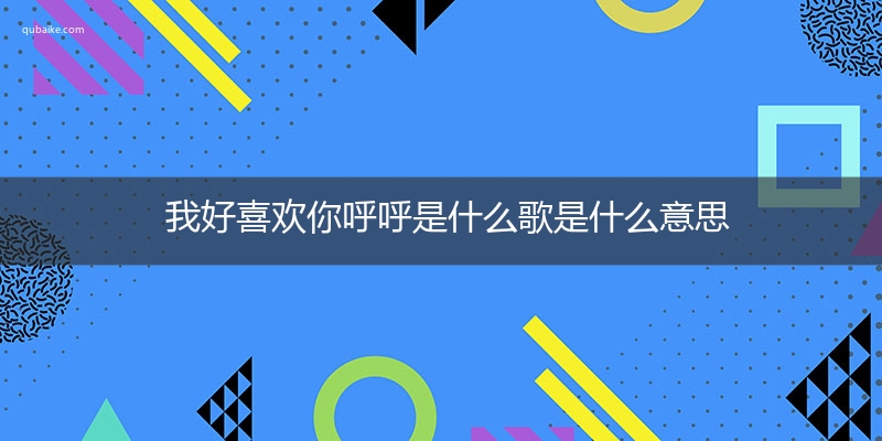 我好喜欢你呼呼是什么歌是什么意思