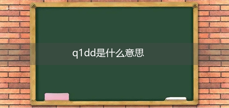 q1dd是什么意思