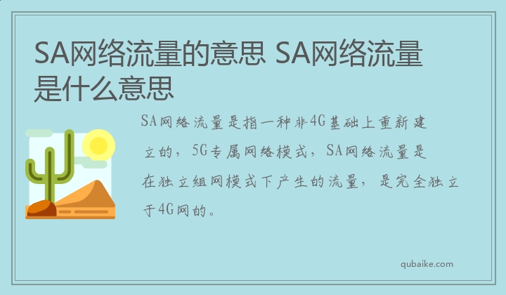 SA网络流量的意思 SA网络流量是什么意思