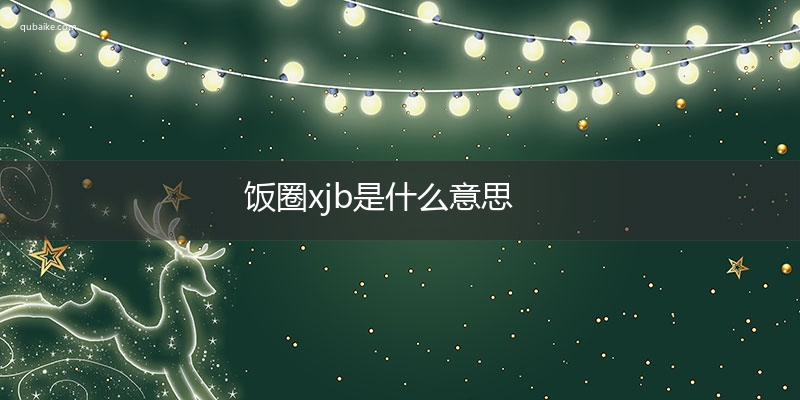 饭圈xjb是什么意思