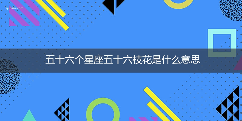 五十六个星座五十六枝花是什么意思