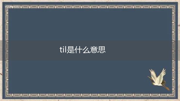 til是什么意思