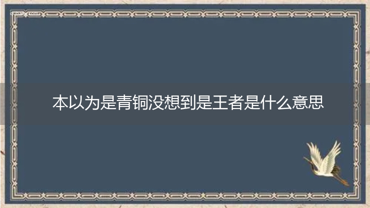 本以为是青铜没想到是王者是什么意思