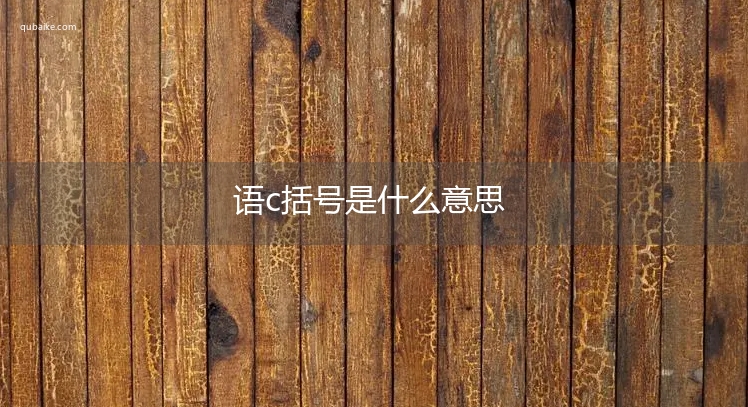 语c括号是什么意思