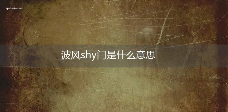 波风shy门是什么意思