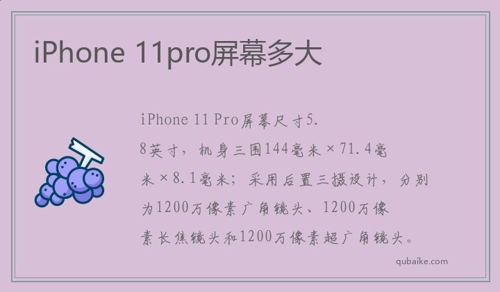 iPhone 11pro屏幕多大