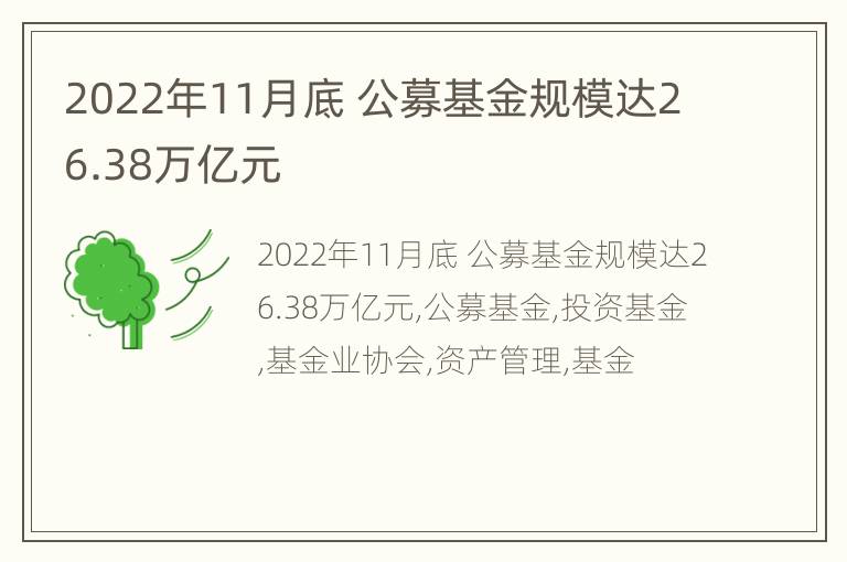 2022年11月底 公募基金规模达26.38万亿元