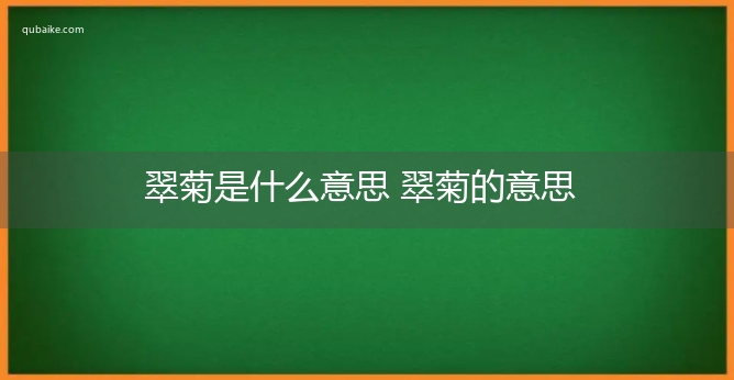 翠菊是什么意思 翠菊的意思