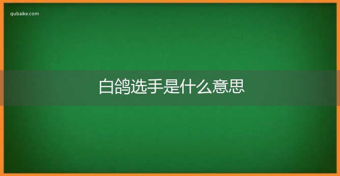 白鸽选手是什么意思