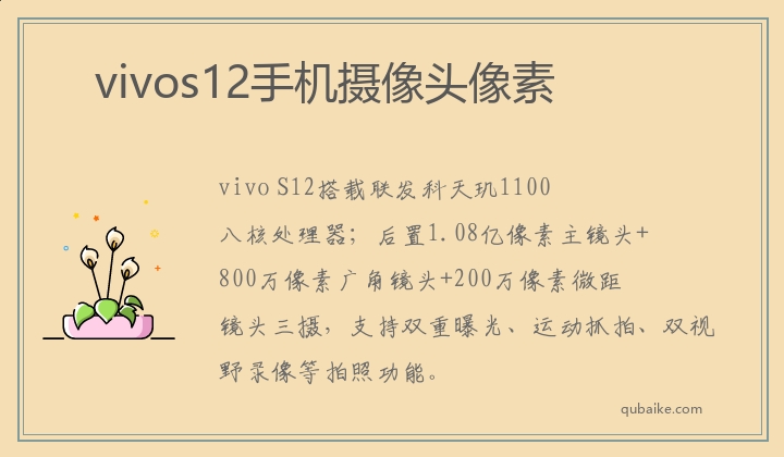 vivos12手机摄像头像素