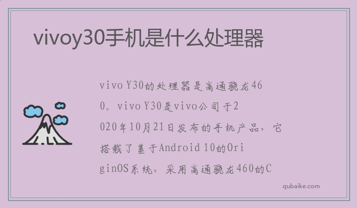 vivoy30手机是什么处理器