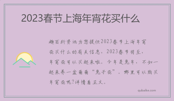 2023春节上海年宵花买什么