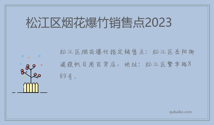 松江区烟花爆竹销售点2023