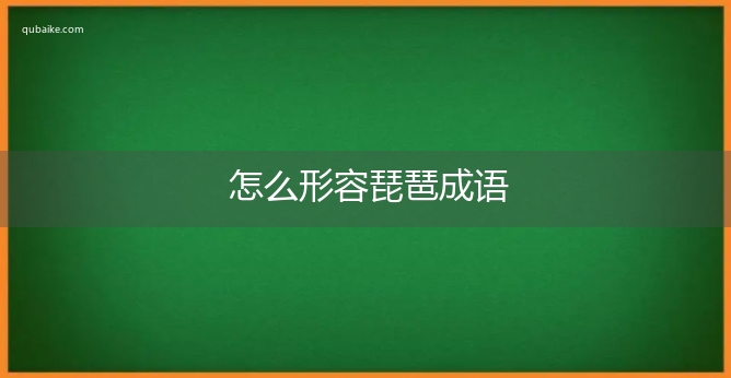 怎么形容琵琶成语