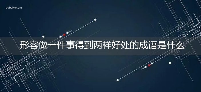 形容做一件事得到两样好处的成语是什么