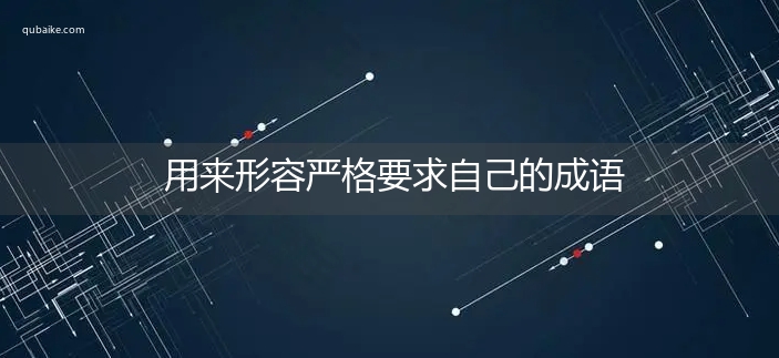 用来形容严格要求自己的成语