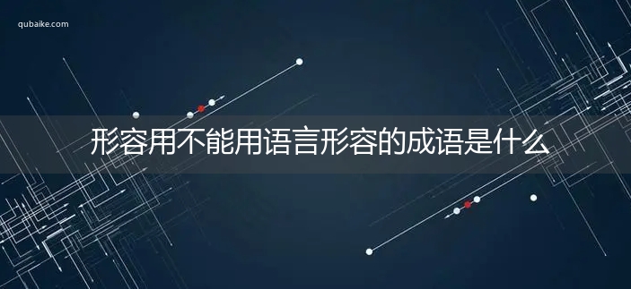 形容用不能用语言形容的成语是什么