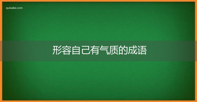 形容自己有气质的成语